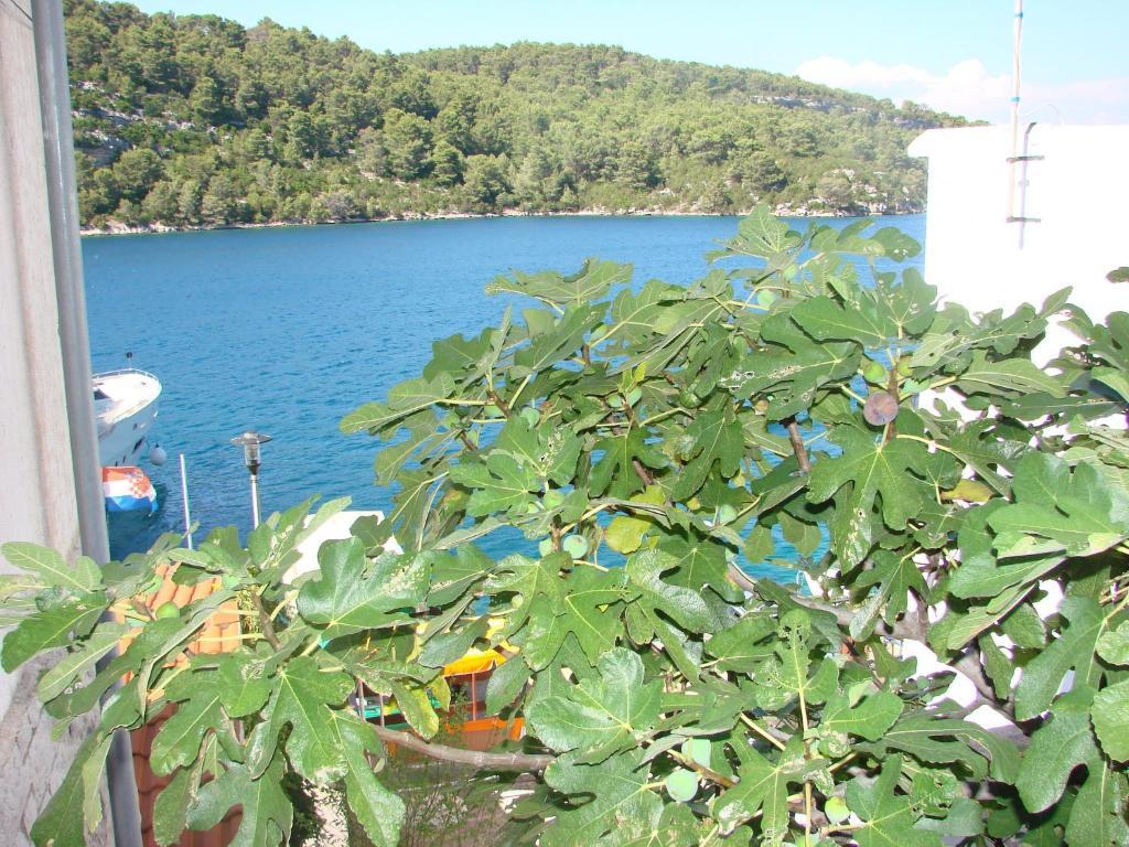 Sea House Mljet Hotel Polace Phòng bức ảnh